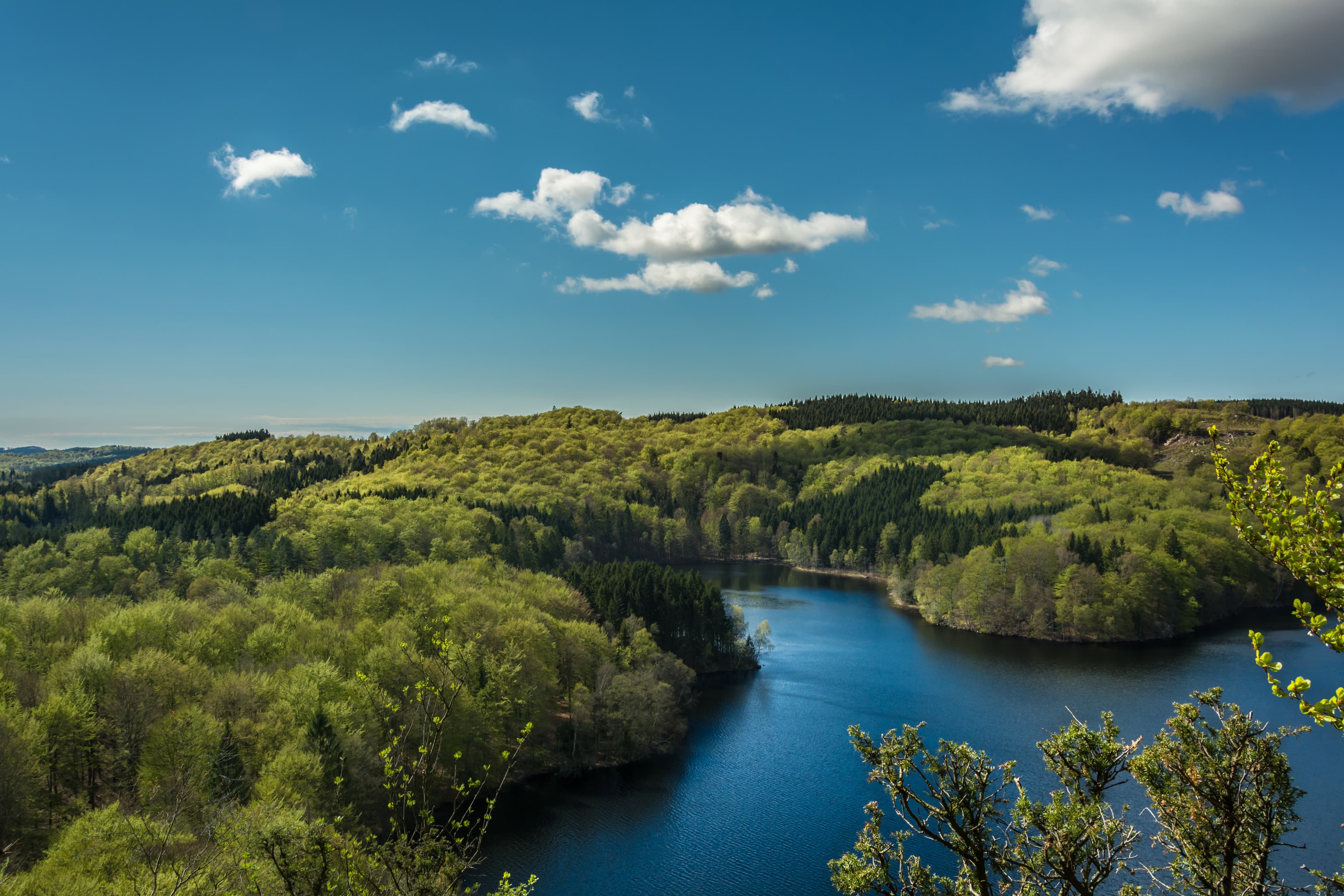 Forested watershed and clear lake